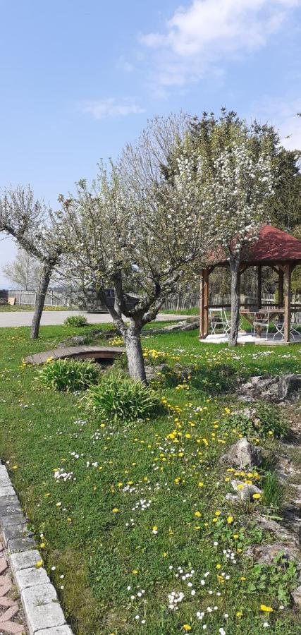 Horselberg-Hainich B&B Talstation المظهر الخارجي الصورة